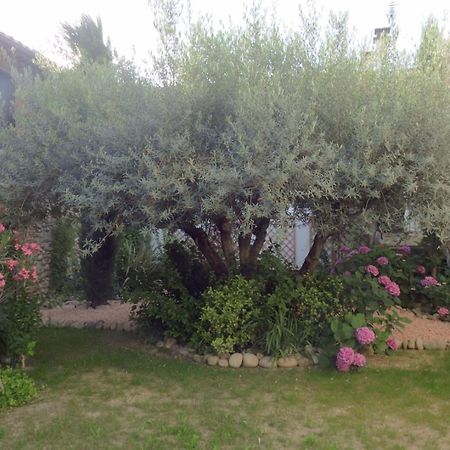 Gite Mon Paradis Vallon-Pont-dʼArc Εξωτερικό φωτογραφία